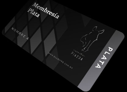 Tarjeta Membresía Plata